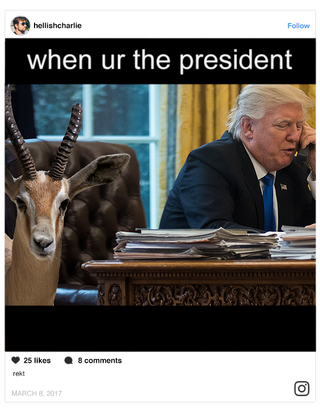 Illustration for article titled Internet FTW: Someone Photoshopped A Gazelle Next To Donald Trump, And It’s Going Viral Under The Assumption That It Takes Him Down In Some Way